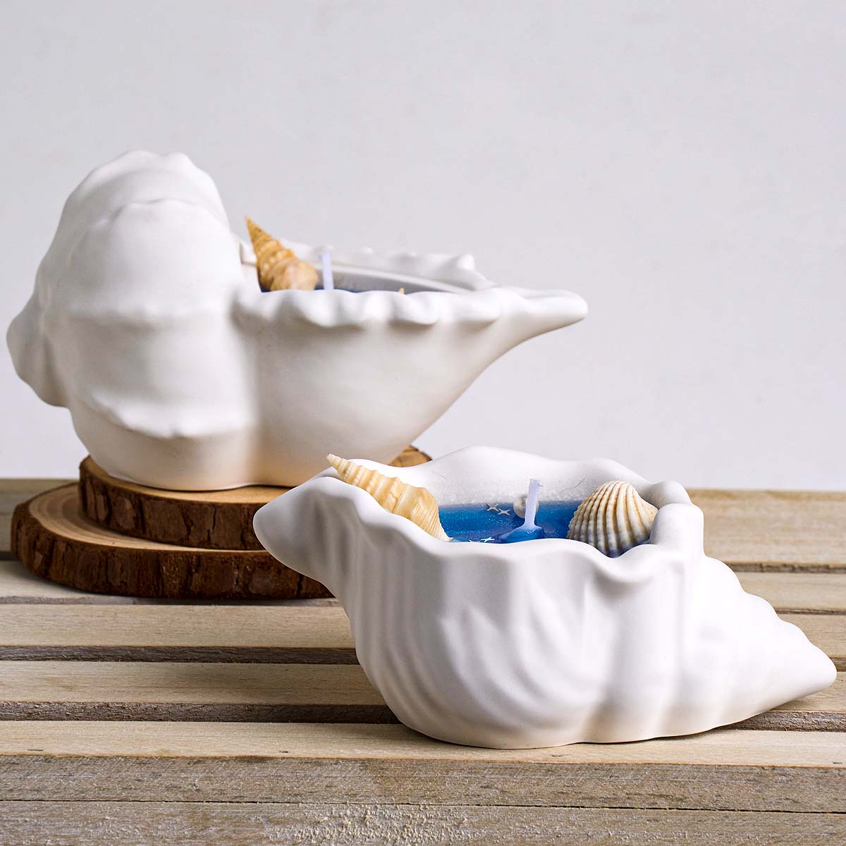 Conch Flowerpot Silicone Mold  - Idli Steamer Mold recension och pris