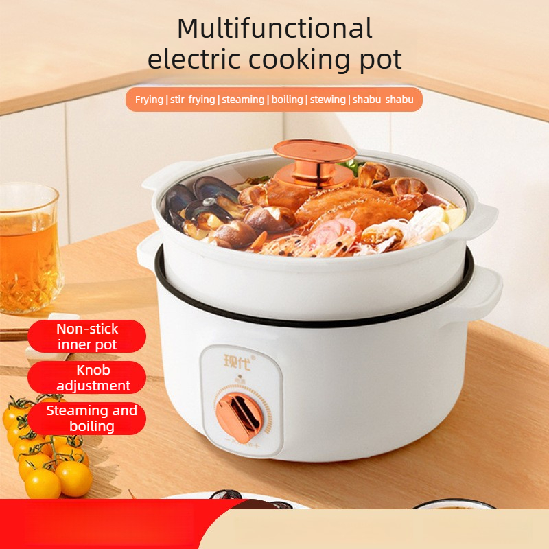 Multifunctional Mini Electric  - Home Cooking Electric recension och pris