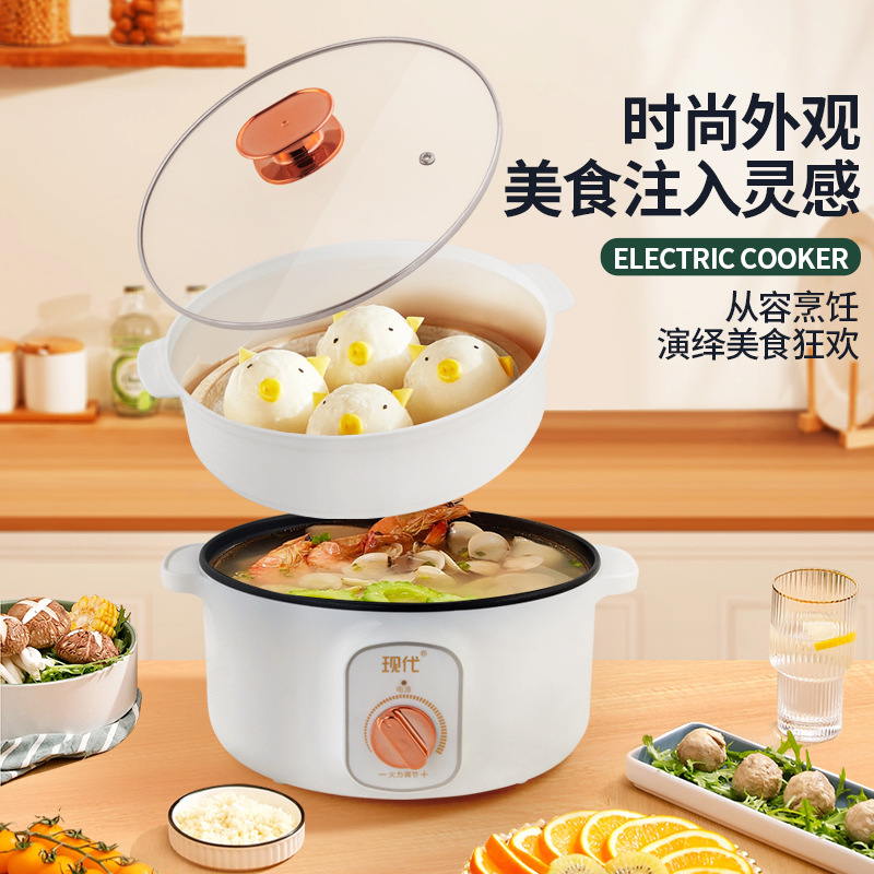 Multifunctional Mini Electric  - Home Cooking Electric recension och pris