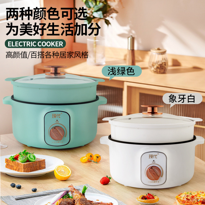 Multifunctional Mini Electric  - Home Cooking Electric recension och pris