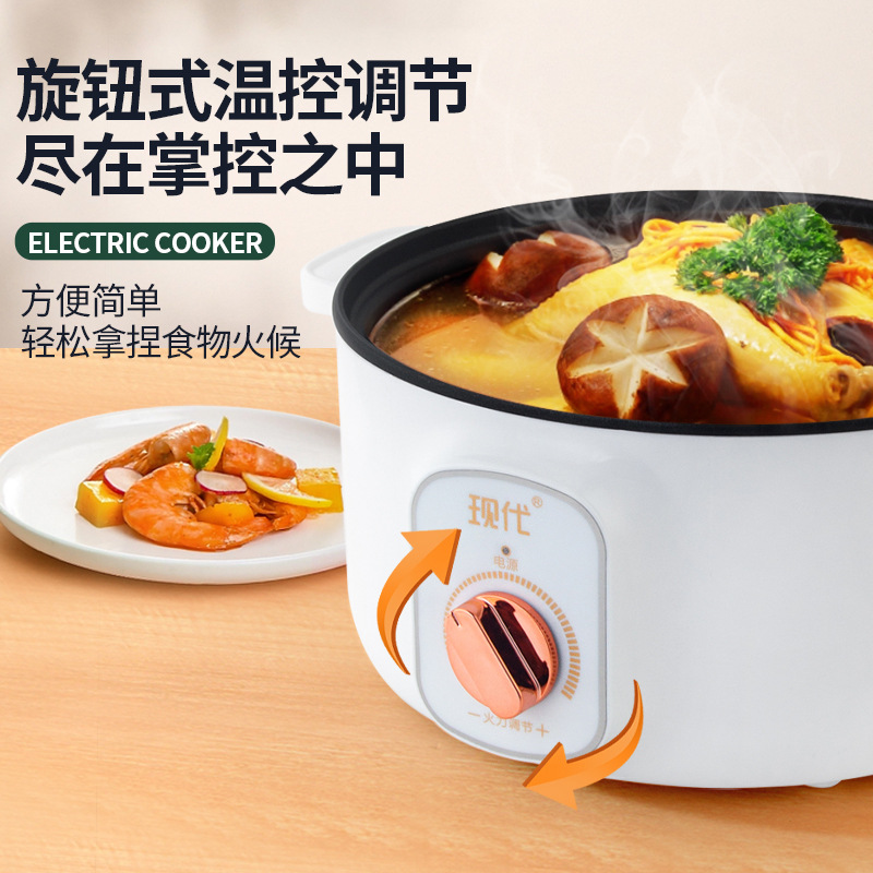 Multifunctional Mini Electric  - Home Cooking Electric recension och pris