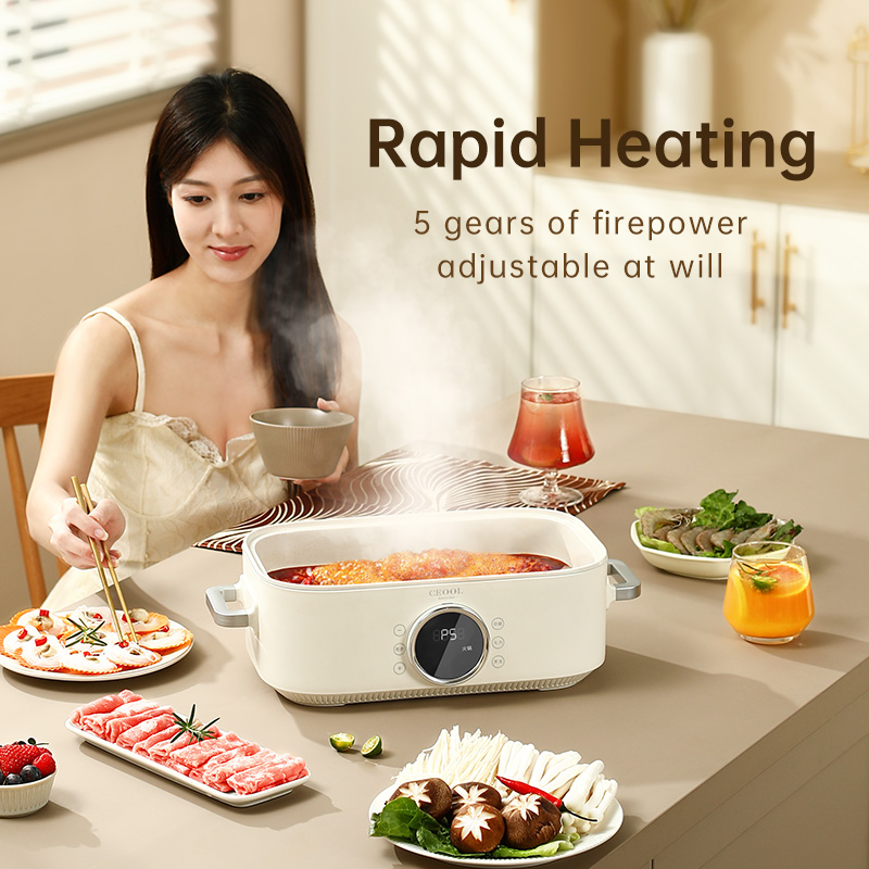 10L 3-in-1 Electric Food Steam - Home Cooking Electric recension och pris